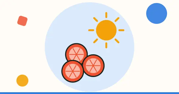 Ilustración: sol y rodajas de fruta