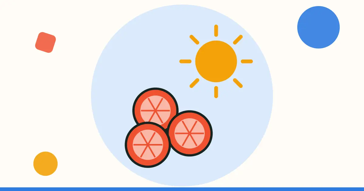 Ilustración: sol y rodajas de fruta