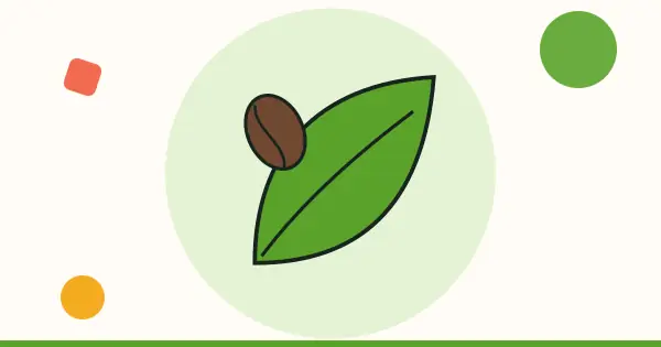 Ilustración: hoja y grano de cacao